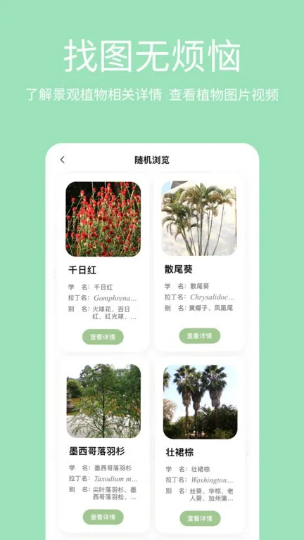 绿图2025官方最新版本 绿图2025官方最新版本