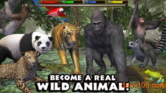 JungleSim2025