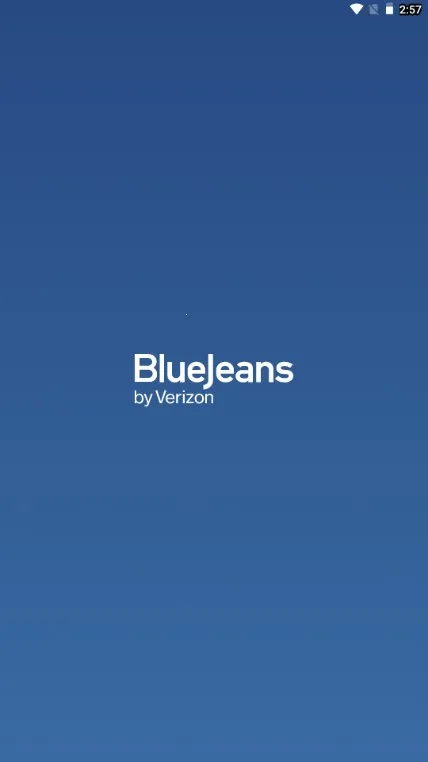 bluejeans(Ƶ)