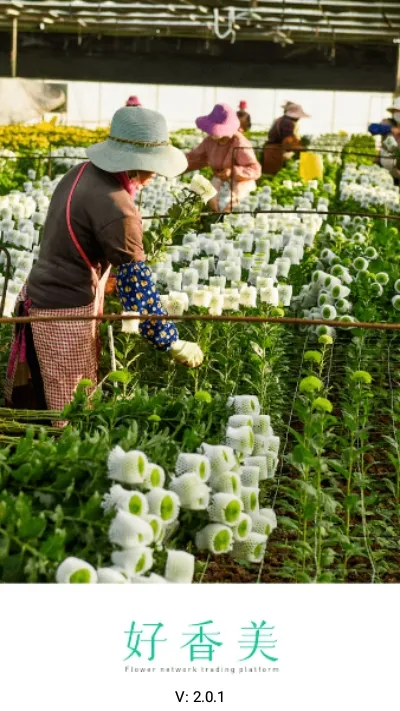好香美(鲜花采购台) 好香美(鲜花采购台)