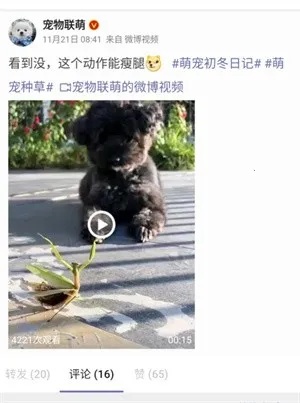 share微博(纯净微博应用) share微博(纯净微博应用)