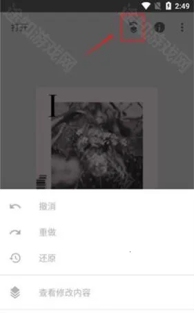 正版snapseed(免费修图软件) 正版snapseed(免费修图软件)