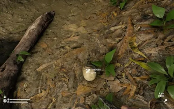 绿色地狱最新手机版 绿色地狱最新手机版