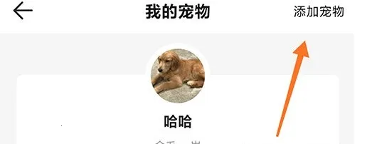 68宠物2025官方正版