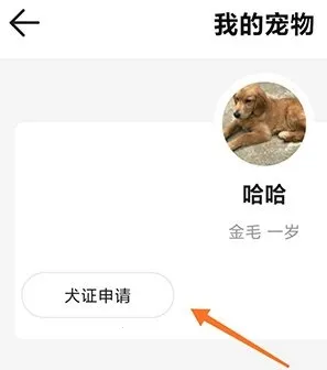 68宠物2025官方正版