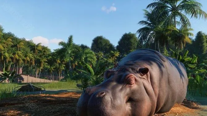 动物园之星狒狒同2025下载 动物园之星狒狒同2025下载