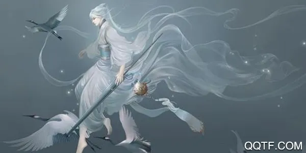 奇书小说(小说阅读平台)