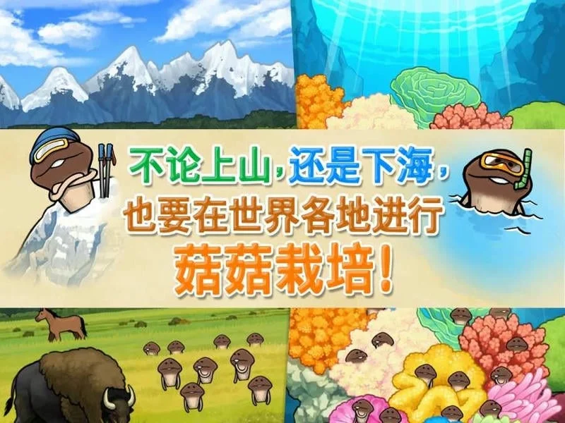 菇菇栽培研究室2025最新版本