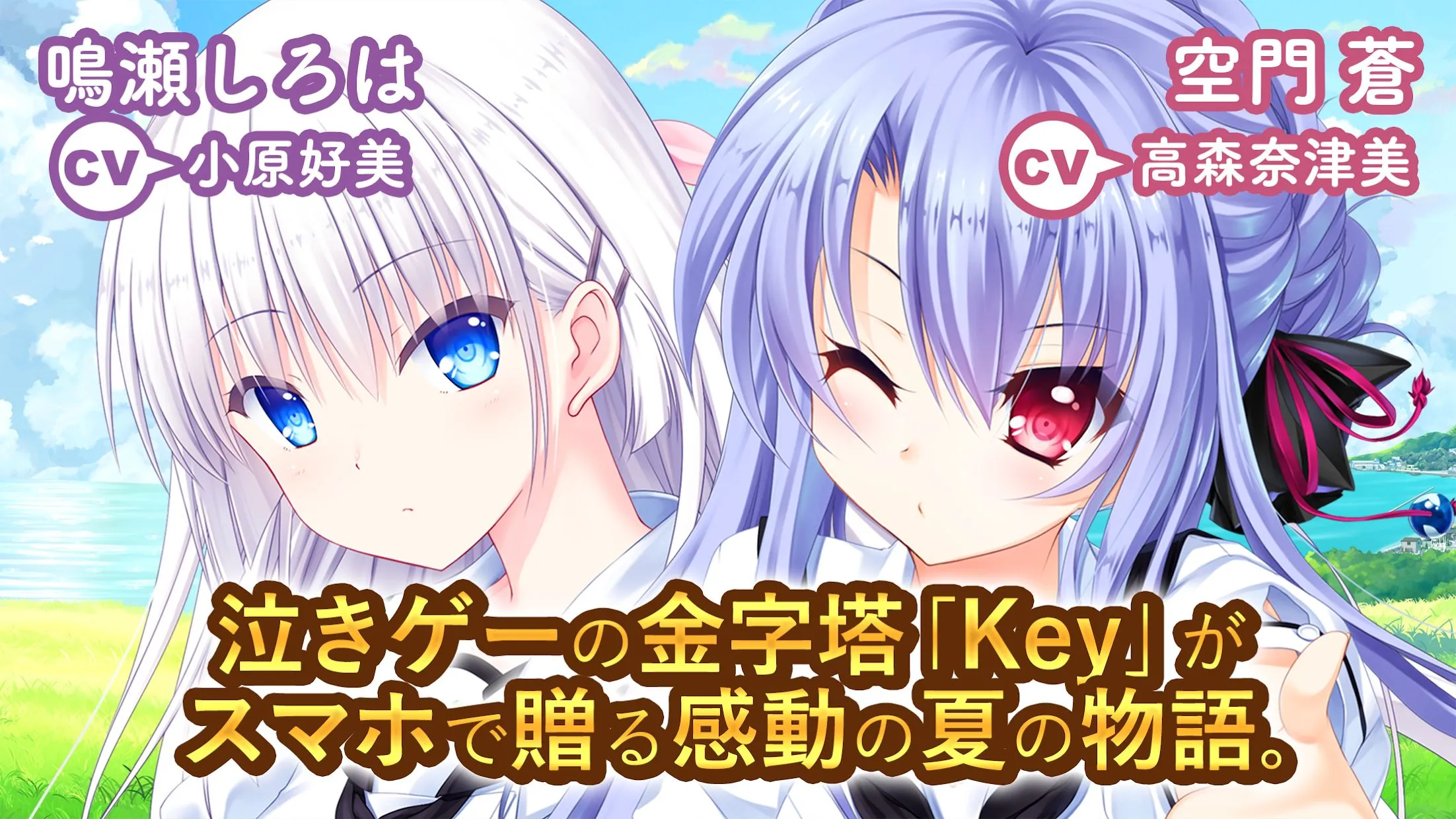 夏日口袋2025下载