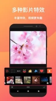 СӰ����(��Ƶ��������)