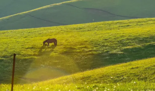 ��Ƶ�������ְ�׿���ֻ���