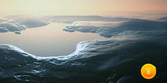 ������ֽ(��ֽ��Դ�ḻ)