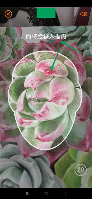 老来网安卓版手机版