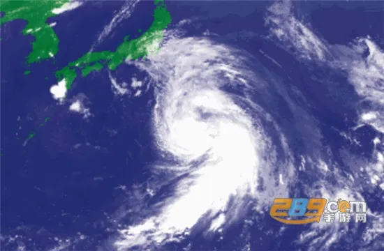 ���������׿���ֻ���