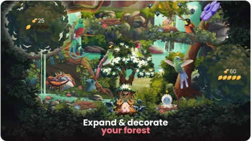 鸟类世界最新手机版 鸟类世界最新手机版