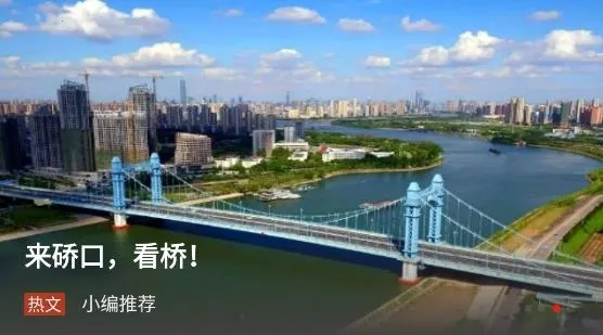 硚口发布2025官方正版 硚口发布2025官方正版