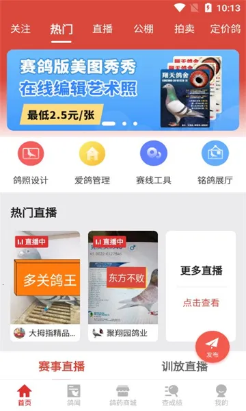 赛鸽头条搜鸽天下(赛鸽服务平台) 赛鸽头条搜鸽天下(赛鸽服务平台)