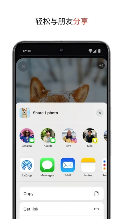 �ȸ����2026���°汾