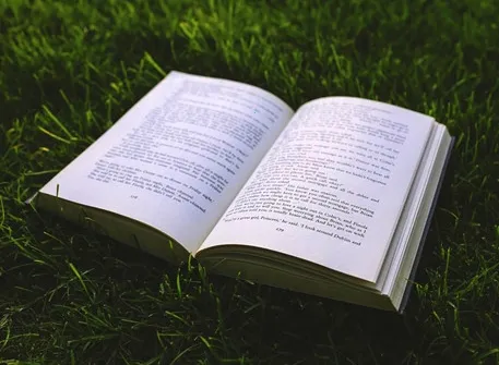 �ᰮ�Ķ�2026�ٷ�����