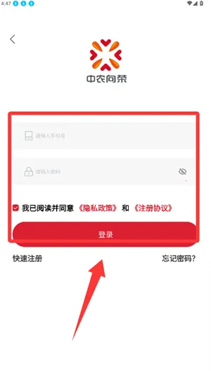 ������2026����