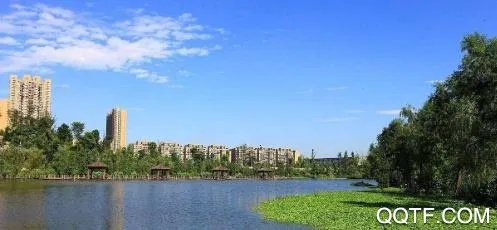 �ɽ�˼�(�ɽ�������)