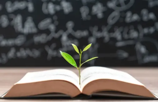 �𻨱��(�ٶ����ƽ̨)