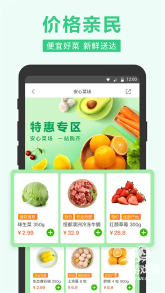 С����2026����