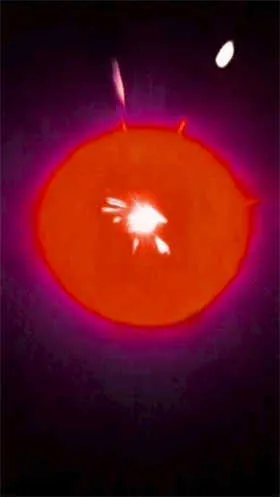 ������ճ鿨�����ֻ���