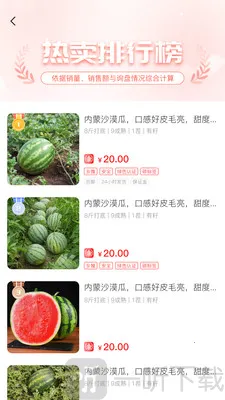 һ��һƷ2026���ذ�װ