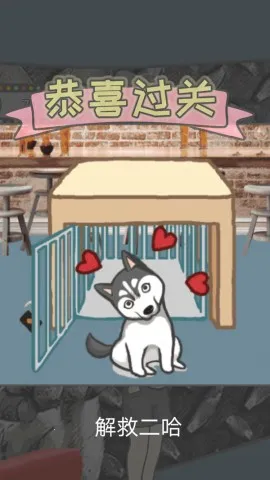 竟然养二哈2026下载 竟然养二哈2026下载