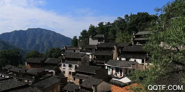 �������������ֻ���