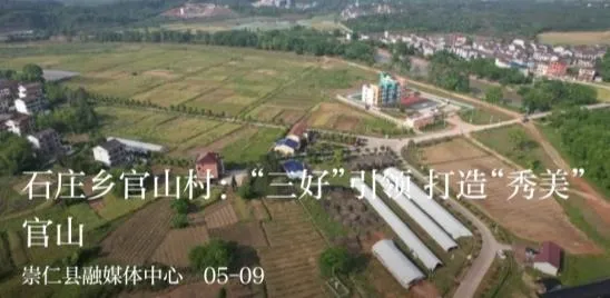 �������������ֻ���