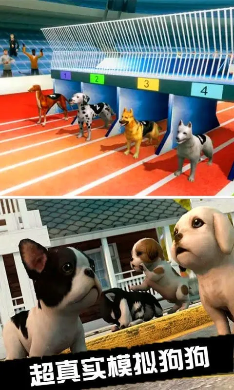 我的萌宠世界 我的萌宠世界