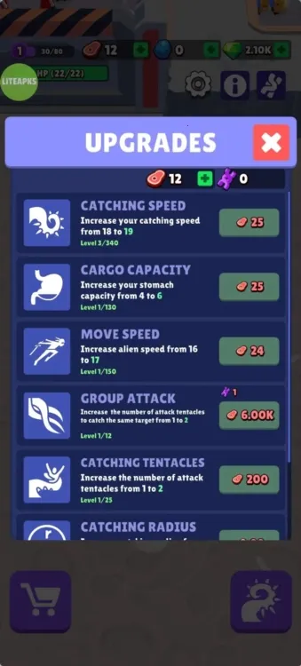 ��Һ����2026���ذ�װ