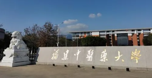 �ܲ��������ֻ���