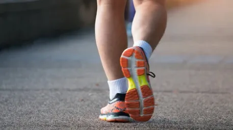 ˮ�Ǽǲ�2026���°汾