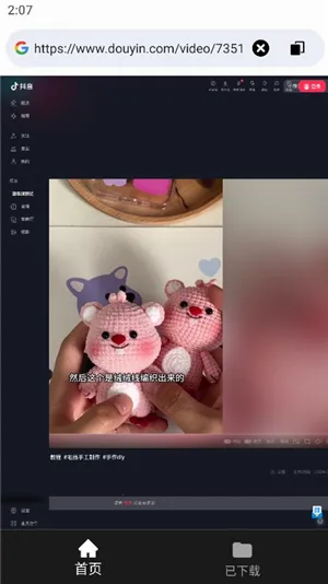 ��Ƶ������