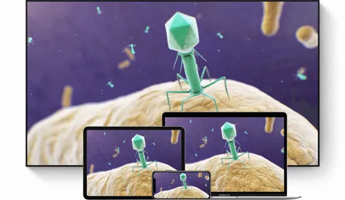 火花学院 火花学院