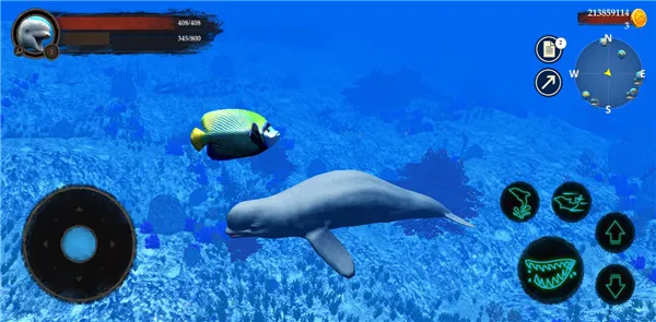 �׾�ģ����