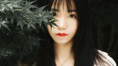 ���Ż���2026���°汾