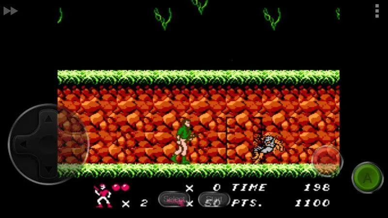 �˼����2026����