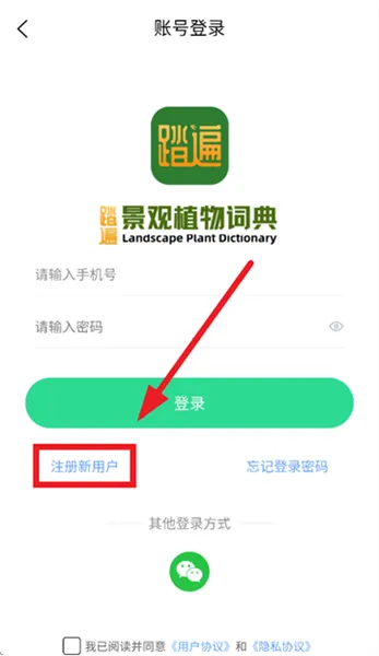 ̤�龰��ֲ��ʵ�2026�ٷ�����