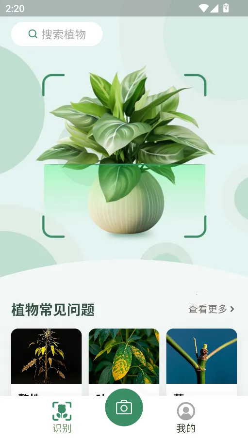 花草志2026官方最新版本 花草志2026官方最新版本