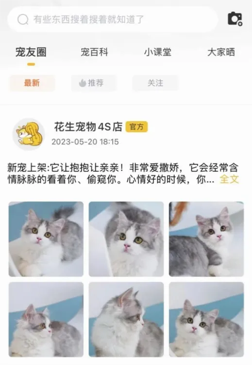 花生宠物安卓版手机版 花生宠物安卓版手机版