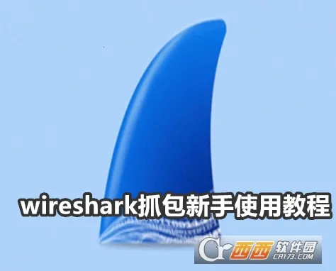 WireShark安卓版手机版 WireShark安卓版手机版