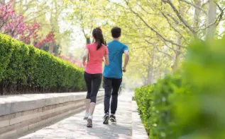 Vfit2026���ذ�װ