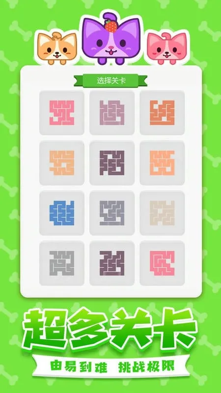 ������һ�ʻ�2026���ذ�װ