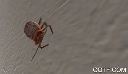 ���ģ����