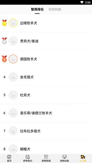 狗语翻译器2026下载