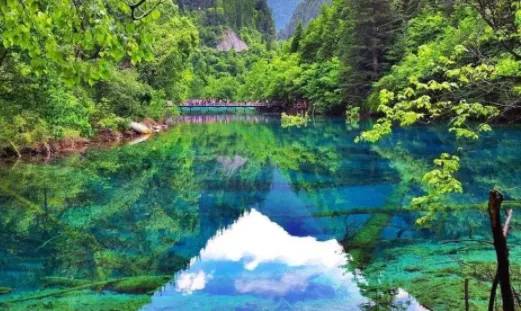 掌上爱众安卓版手机版